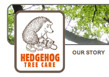Hedgehog Tree Care